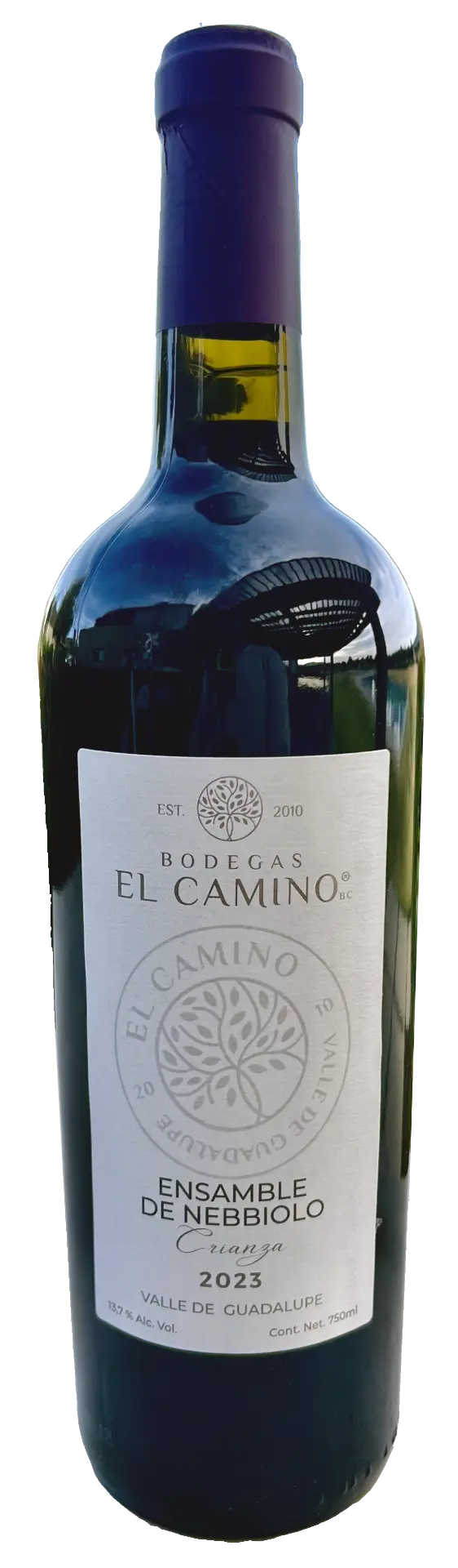 Botella Ensamble de Nebbiolo — Crianza 2023
